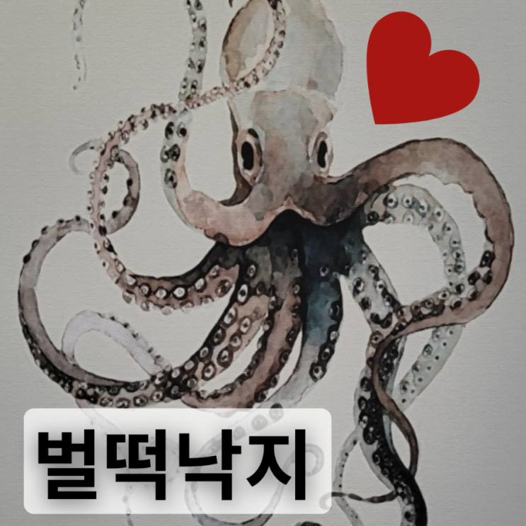  벌떡낙지 본점 제주 산낙지 연포탕 제스코마트 근처 연북로 맛집