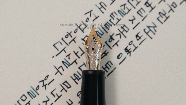  어디에서든 성공한다 (몽블랑 P145 EF닙 만년필로 필사하기)