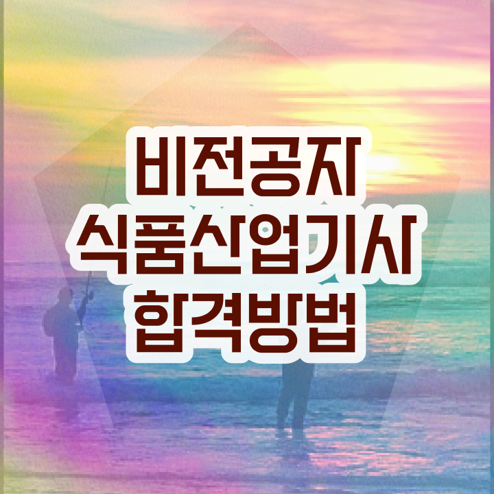 식품산업기사 합격 식품산업기사 시험자격 인강만 듣고 간편하게 끝낸 후기