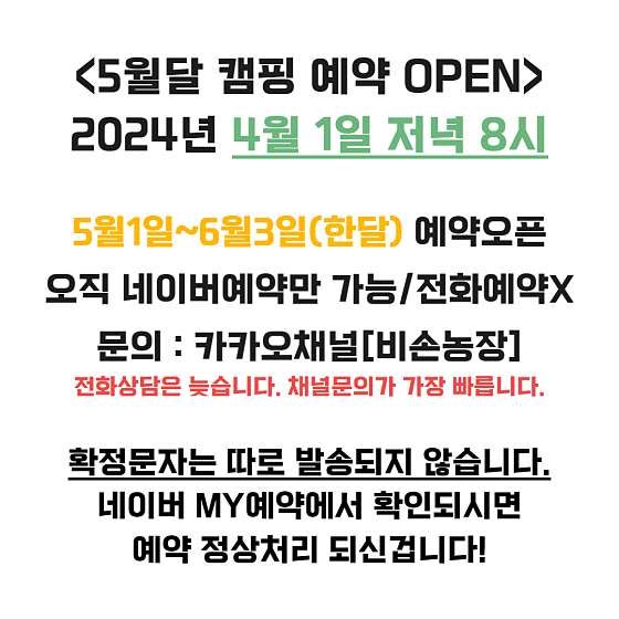 사진 5