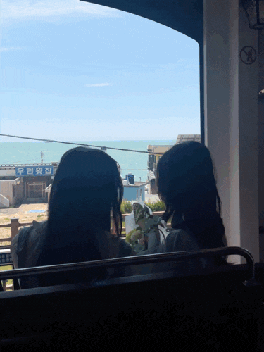  부산 해운대 블루라인파크 해변열차 온라인 예약 주의할 점
