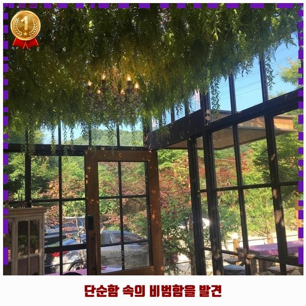 마이야르