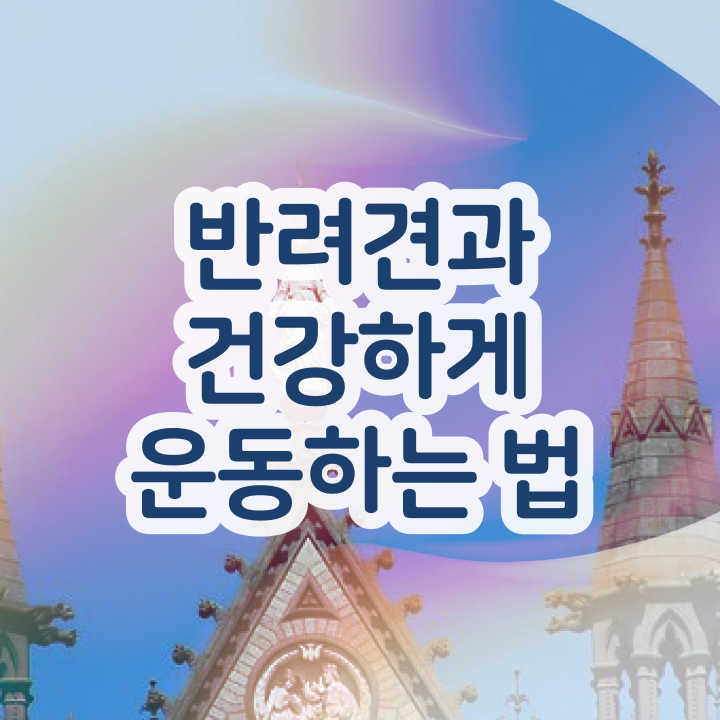  독학 자격증 추천 , 반려견운동지도사 온라인 교육원 통해서 쉽게 성공한 노하우