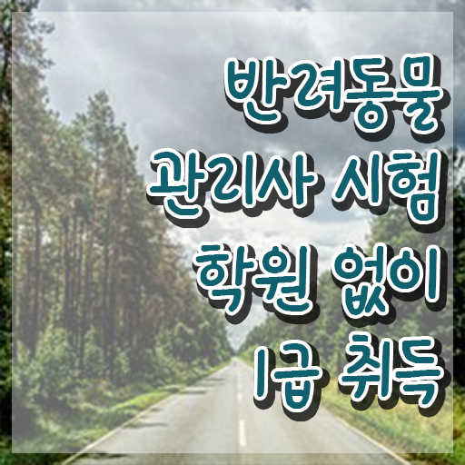  , 반려동물관리사 자격증 15일 만에 준비한 방법 , 채용 정보