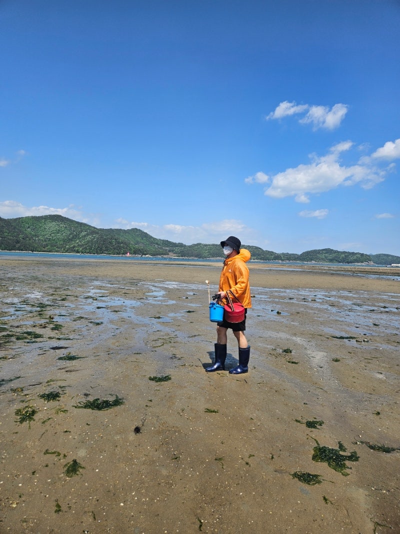 사진 7