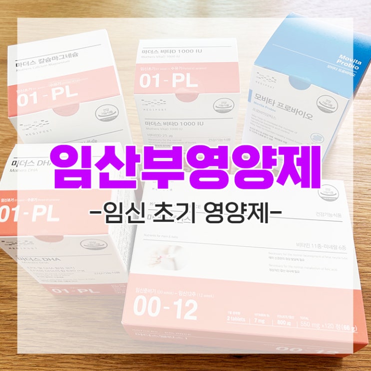  임산부 영양제 내가 먹는 임신 초기 비타민 추천