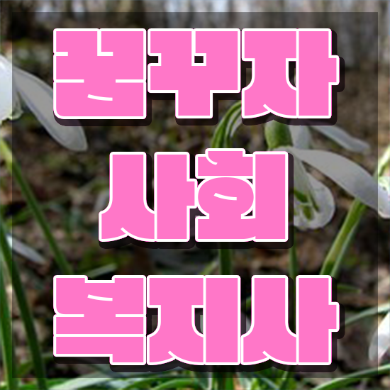  세종 정신건강사회복지사 연봉 사회복지사2급 고졸자도 학은제 활용하여 쉽고 빠르게