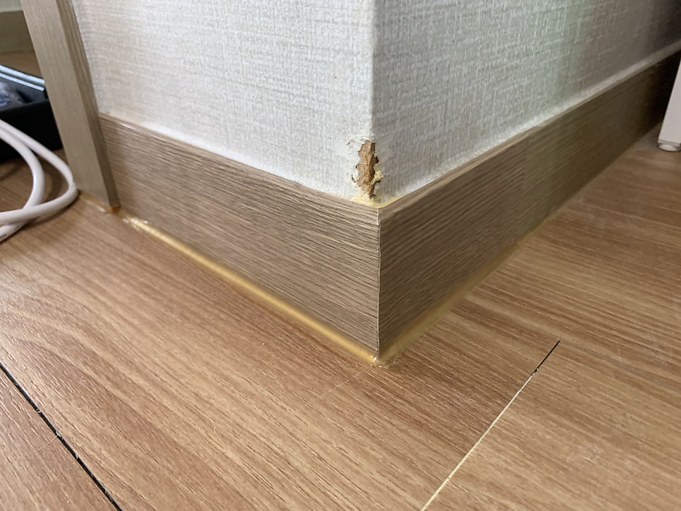 반려견이물어뜯은 걸레받이몰딩 복원하기