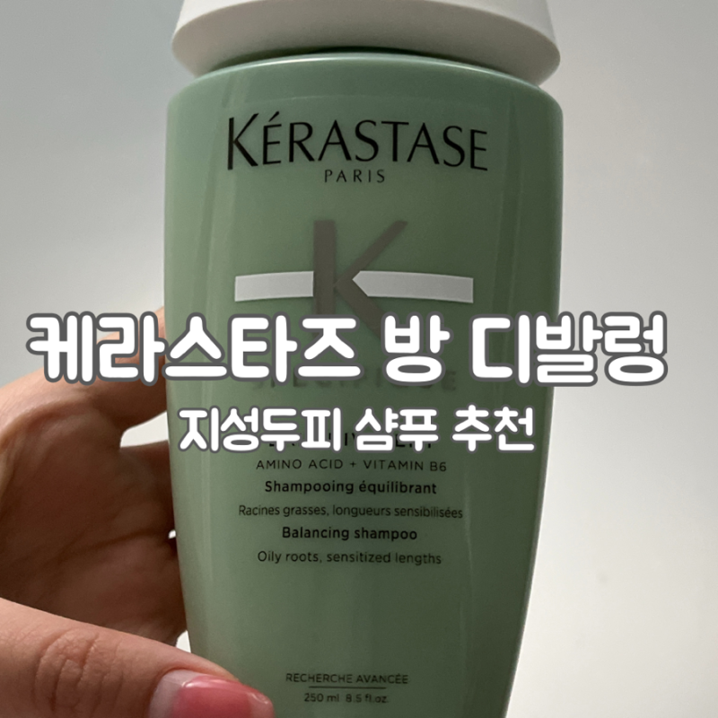 케라스타즈 지성 샴푸 방 디발렁 내돈내산 추천