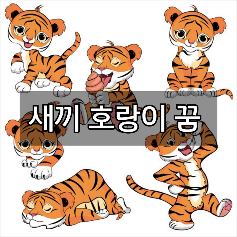 새끼 호랑이 꿈 해몽 꿈에 새끼호랑이가 나왔다면 어떤 의미로 해석될까