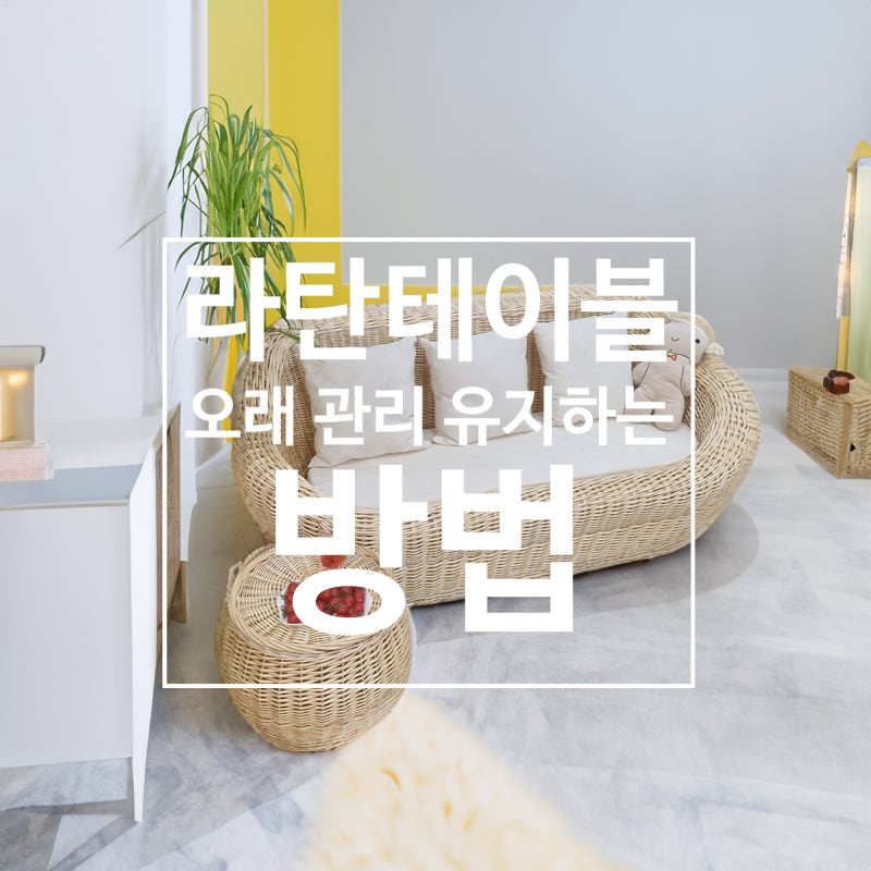 라탄 사이드 테이블 매트 테이블 유지 관리 하는 방법과 제품추천