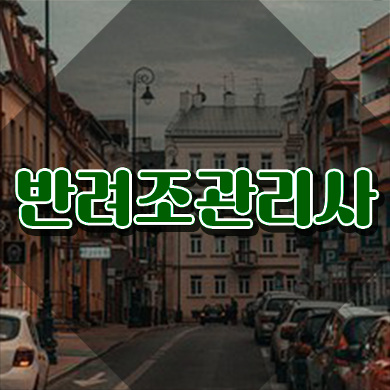  회색앵무분양 , 반려조관리사 자격증 응시자격 없이 준비한 방법 , 채용 정보