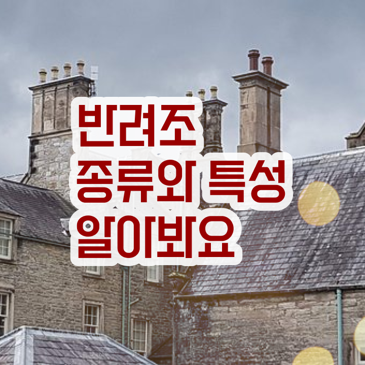  말하는 앵무새 가격 , 반려조관리사 자격증 한달 만에 취득한 과정 및 이후 전망