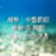 세부#11 - 스노쿨링과 프리다이빙의 천국 수밀론 섬에서 열대어 그리고 아기상어랑 산호초 구경하기