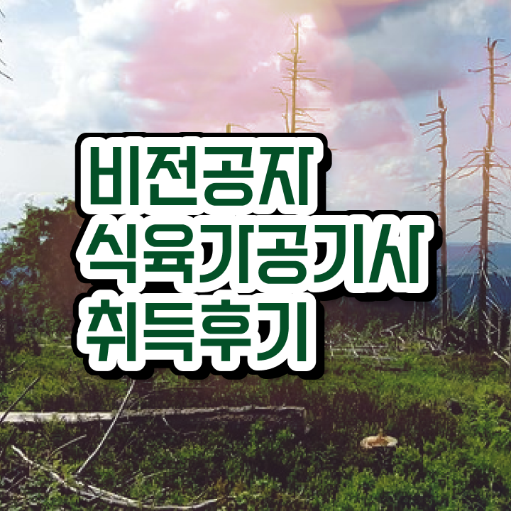 식육가공기사 시험응시자격 인강으로 1학기에 완료한 비법