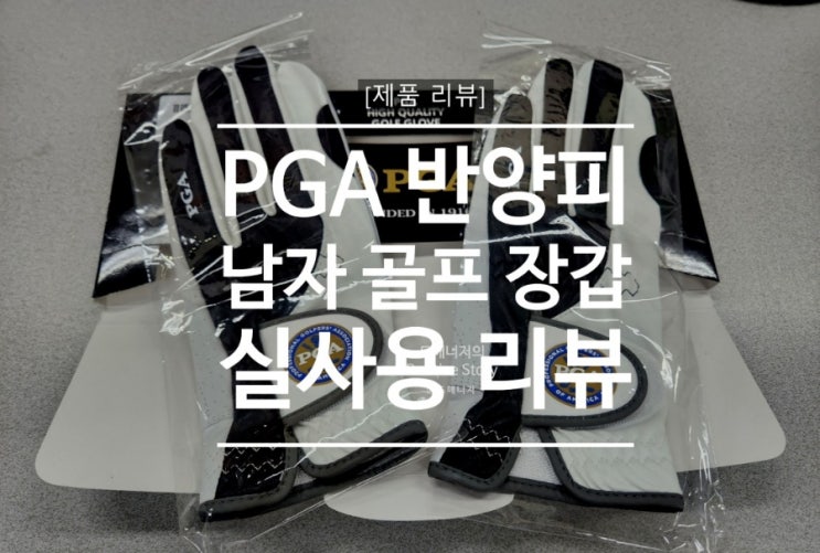  남자 골프장갑 추천_초보가 사용하기 좋은 PGA 반양피 골프장갑 실사용 후기[제품 리뷰]