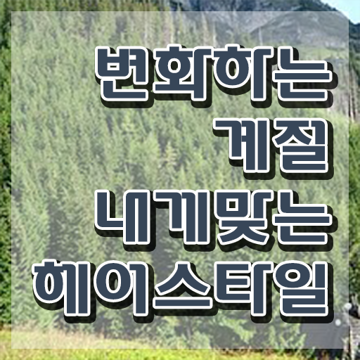  커트지도사 워크샵 , 커트지도사 자격증 20일 만에 취득한 노하우 및 이후 전망