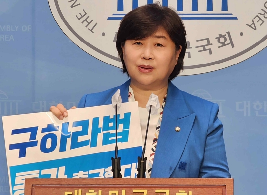 ‘<b>구하라법</b>’ 국회 <b>법사위</b> 법안소위 <b>통과</b>...꼬박 4년 걸려