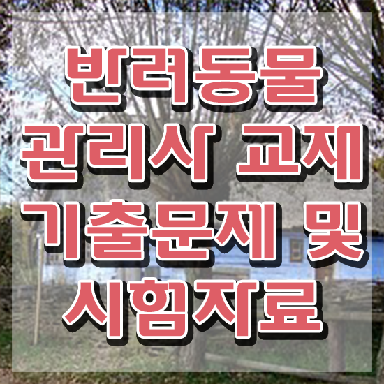  반려동물관리사 무료 강의 , 반려동물관리사 자격증 상세한 준비한 과정 및 전망