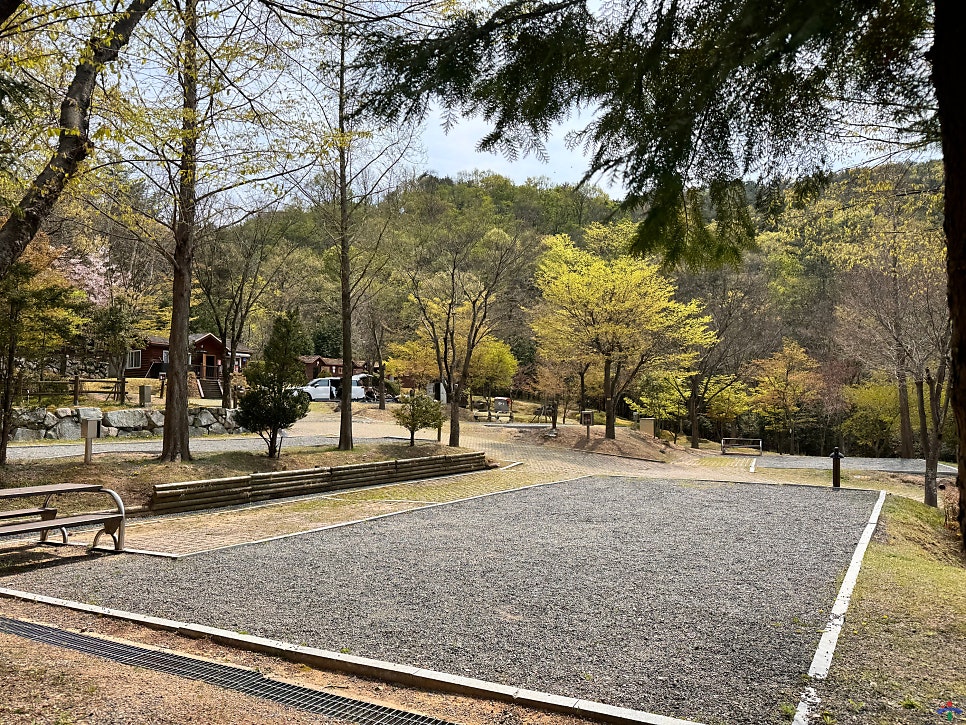 입화산참살이숲야영장 사진 2