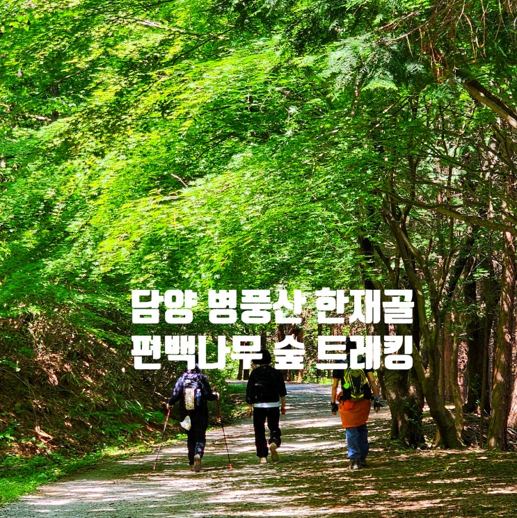 〔전남담양〕담양 병풍산 편백숲 트레킹 & 병풍산 임도 트레킹(대전면 싸목싸목 탐방길-담양 한재골 둘레길 트레킹-병풍산 둘레길 트레킹 안내도-병풍산 등산안내도