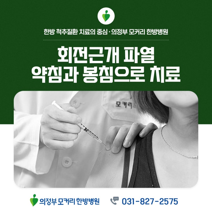  회전근개파열 약침과 봉침으로 치료