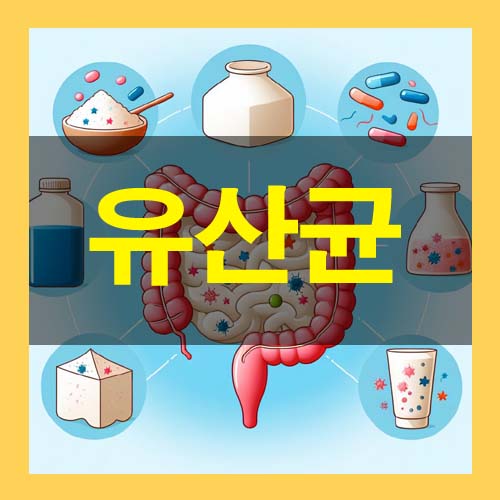  유산균효능 9가지와 종류, 부족 시