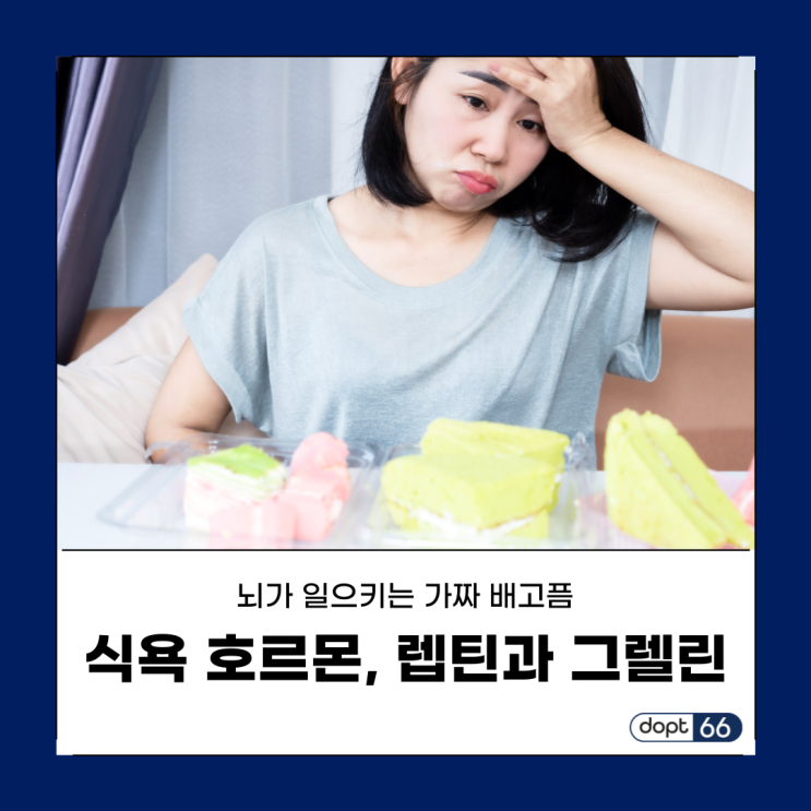  가짜 배고픔과 식욕 호르몬, 렙틴과 그렐린