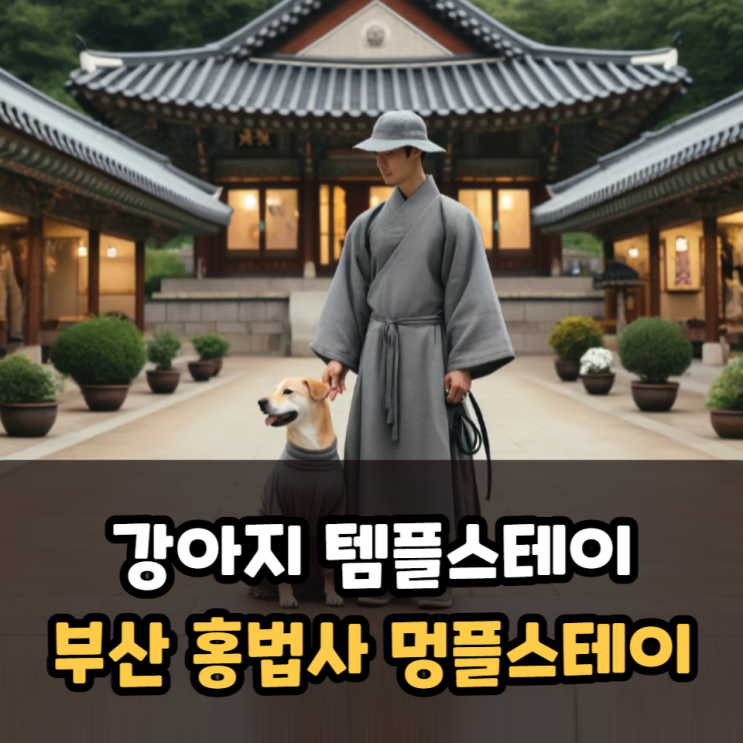  템플스테이 추천 부산 홍법사 강아지 동반 멍플스테이