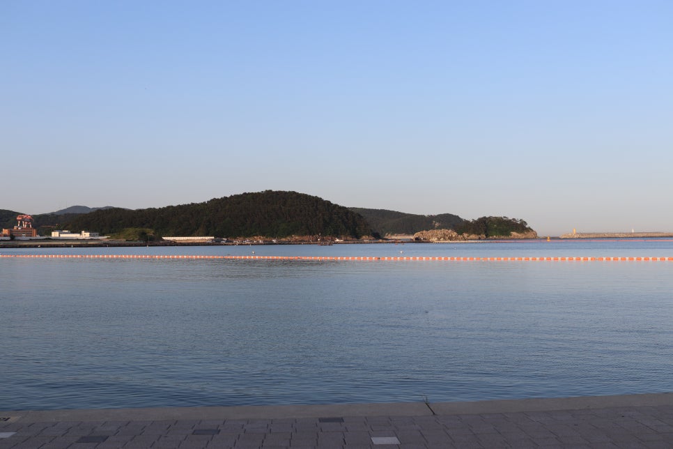 천우장횟집 사진 2