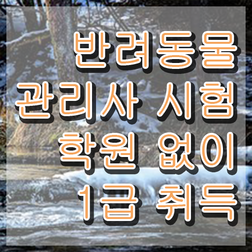  반려동물관리사1급학원추천 , 반려동물관리사 자격증 취득했던 후기 살펴보기