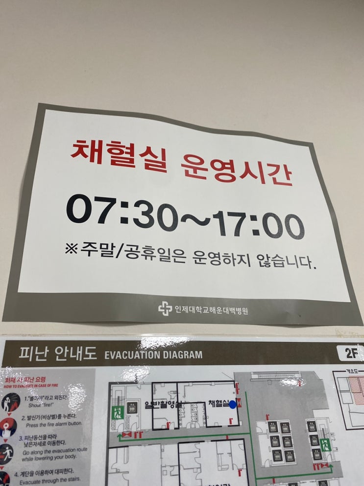  해운대백병원 채혈검사 (feat. 갑상선공복검사)