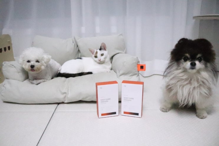 고양이 강아지 종합영양제 조공 이지케어 산양유 오메가3
