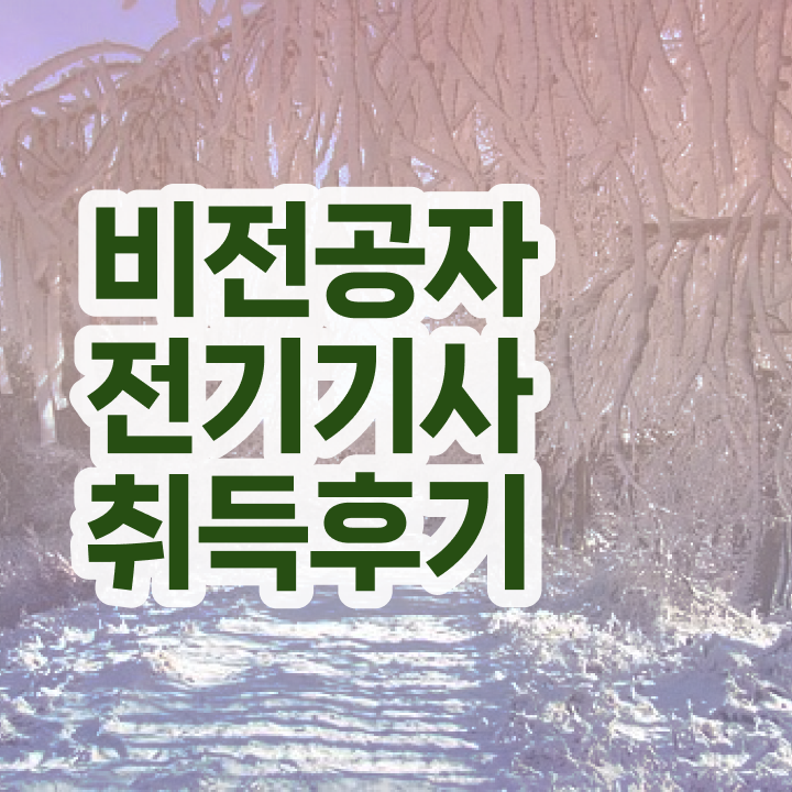  한전 전기기사 전기기사 응시자격 인강으로 5달만에 완료한 팁