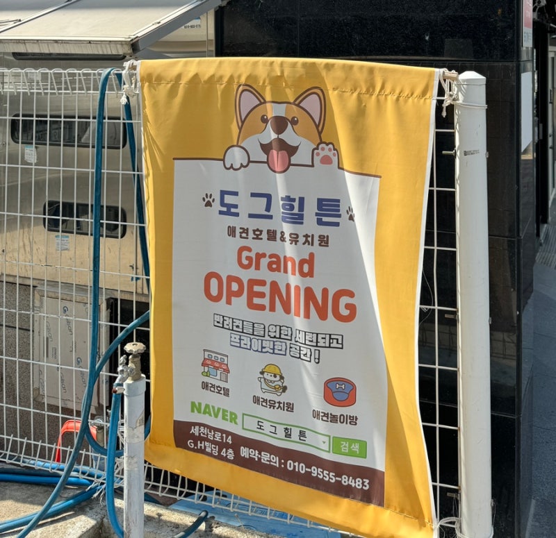 사진 7