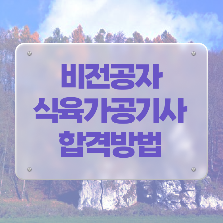  식육가공기사 응시조건 온라인 수업으로 간편하게 끝낸 노하우
