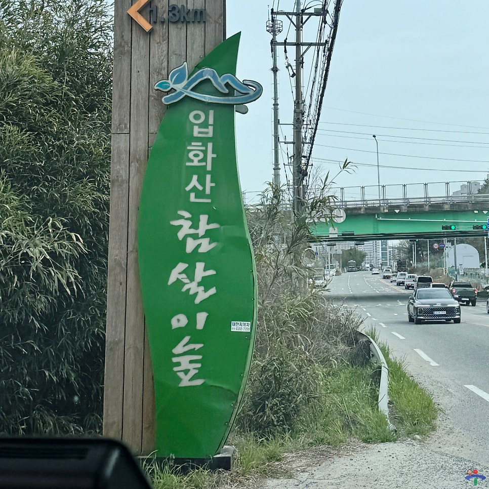 입화산참살이숲야영장 사진 3