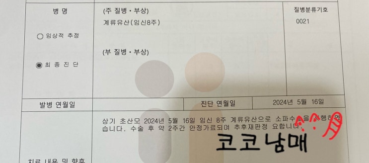  [계류유산] 임신부터 유산까지 8주간의 기록