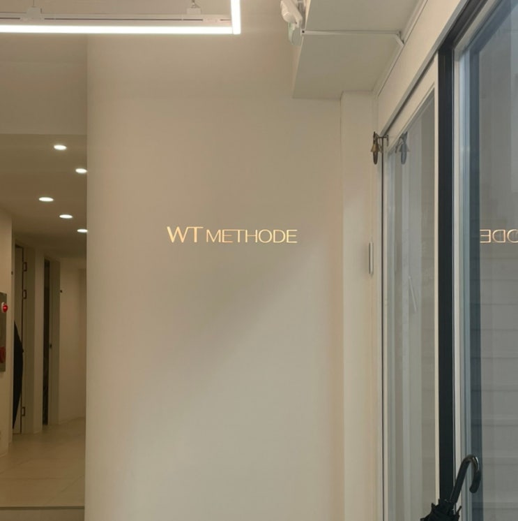  [WT메소드 서래점] 내돈내산 두피스파 두피 케어 탈모관리 지루성두피염 모발 모근 비포애프터