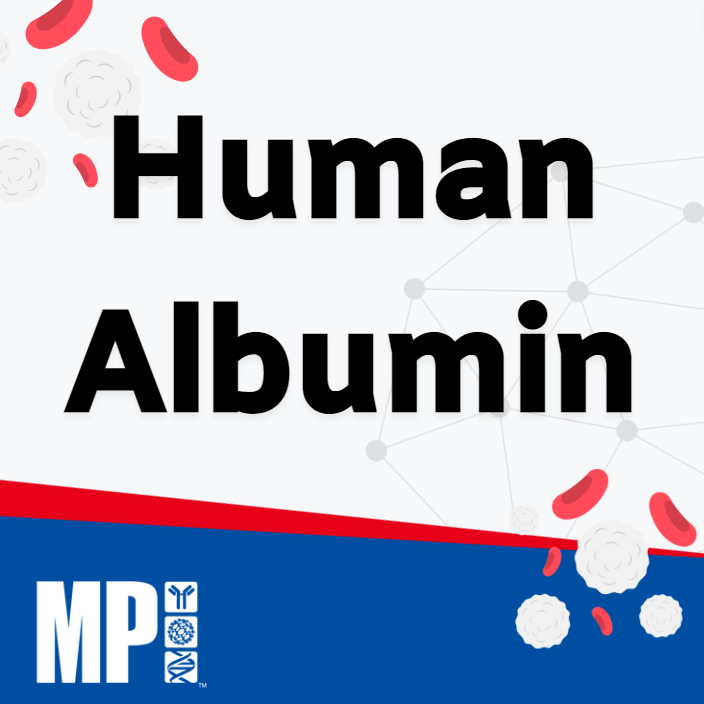  Human Albumin (휴먼 알부민)