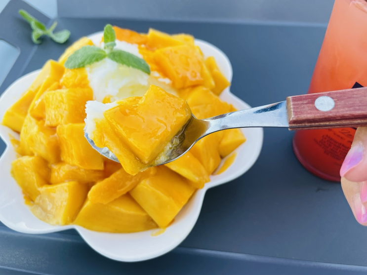  짹짹곳간 헤이리 망고빙수 맛집 후기