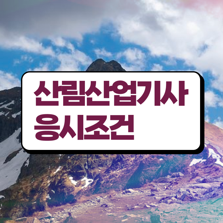  산림산업기사 기간 산림산업기사 취득자격 온라인으로 4개월 만에 끝낸 비법