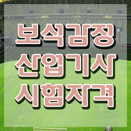  보석감정산업기사 취득자격 인강만 듣고 15주만에 준비한 팁