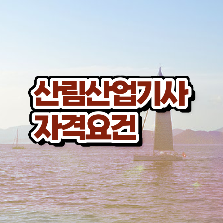  산림산업기사취업 산림산업기사 응시자격 온라인으로 4달만에 성공한 방법