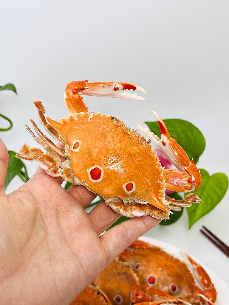 꽃게 찌는 법 꽃게 손질법 찌는 시간 꽃게찜 레시피 : 네이버 블로그
