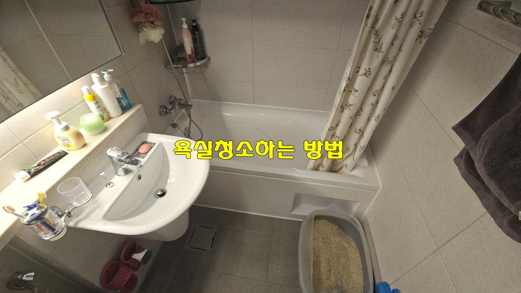  셀프 욕실 청소 관리하는 방법