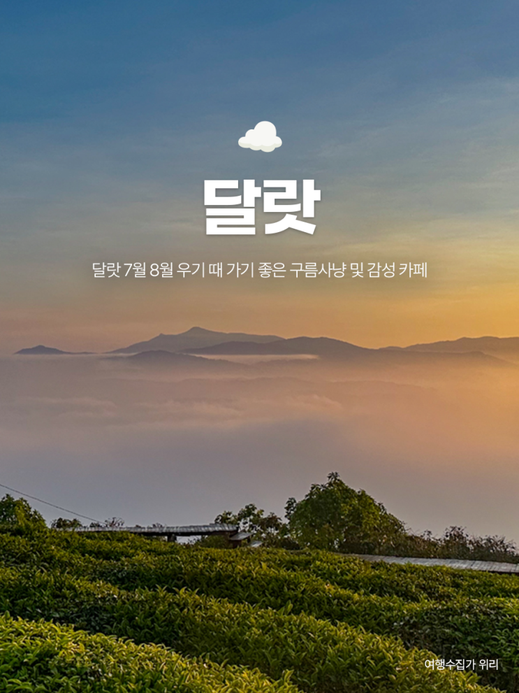  베트남 달랏 7월 8월 날씨: 우기 때 가기 좋은 구름사냥 및 감성 카페