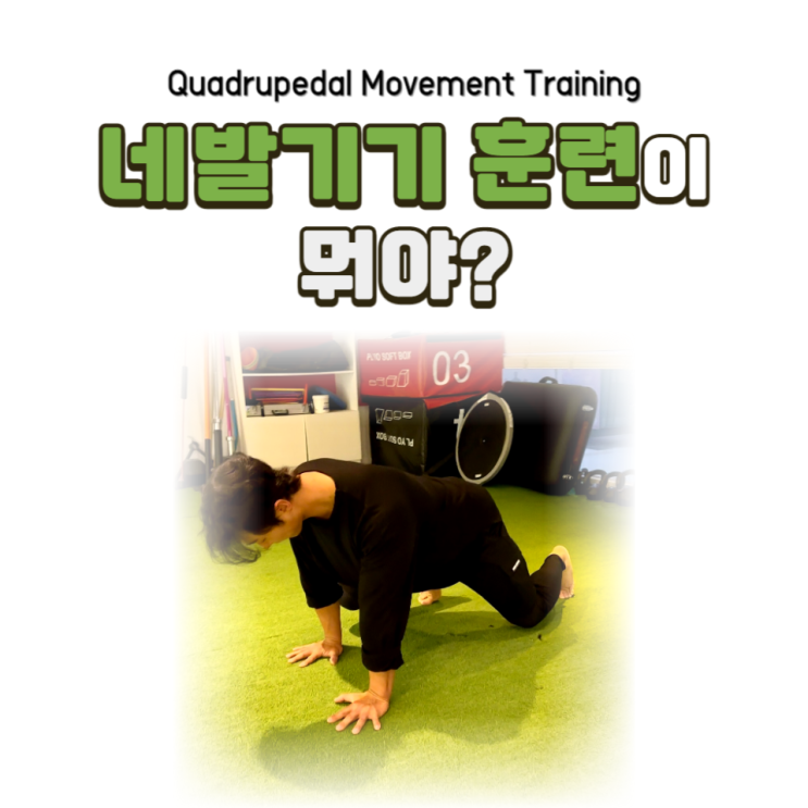  네발기기 훈련(QMT)이 뭐야? / 소사동헬스장