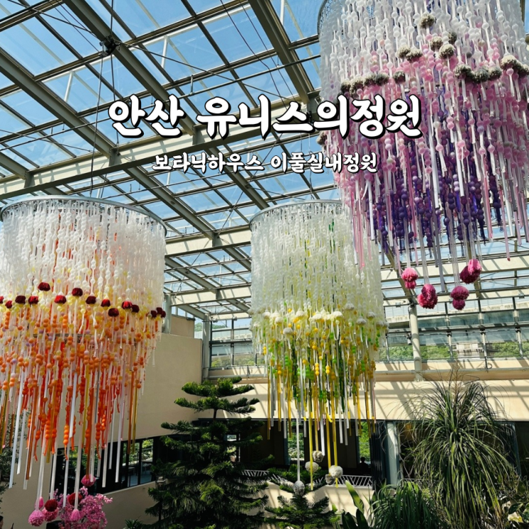  안산 유니스의정원 보타닉하우스 데이트코스로 좋은 이풀실내정원