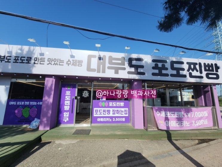 [경기 안산] 대부도베이커리카페 대부도포도즙으로 만든 대부도포도찐빵